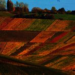 Herbst Impressionen rund um das Remstal