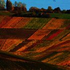 Herbst Impressionen rund um das Remstal