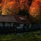 Herbst - Impressionen vom Blautopf -Blaubeuren