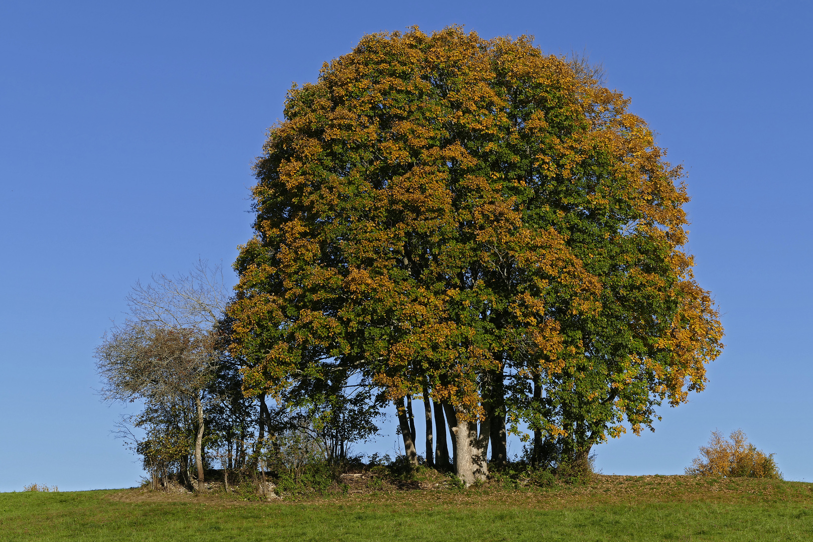 Herbst Impressionen2