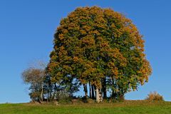 Herbst Impressionen2