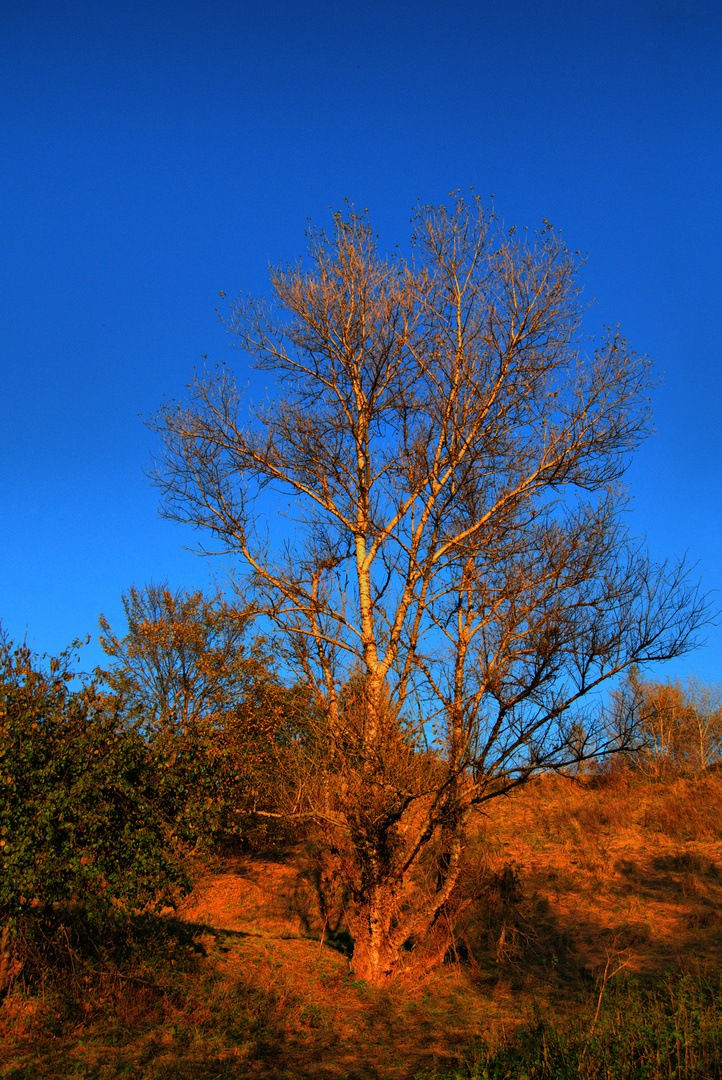 Herbst in 3D