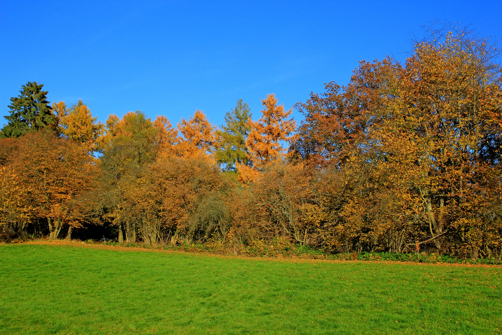 Herbst in 57271 Hilchenbach (Siegerland) 1