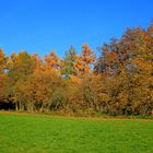 Herbst in 57271 Hilchenbach (Siegerland) 1