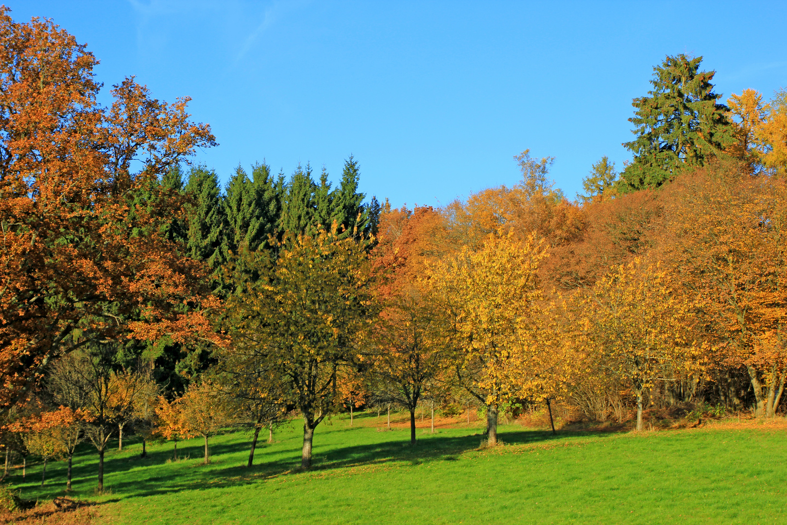 Herbst in 57271 Hilchenbach (Siegerland) 2