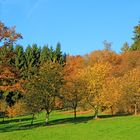 Herbst in 57271 Hilchenbach (Siegerland) 2