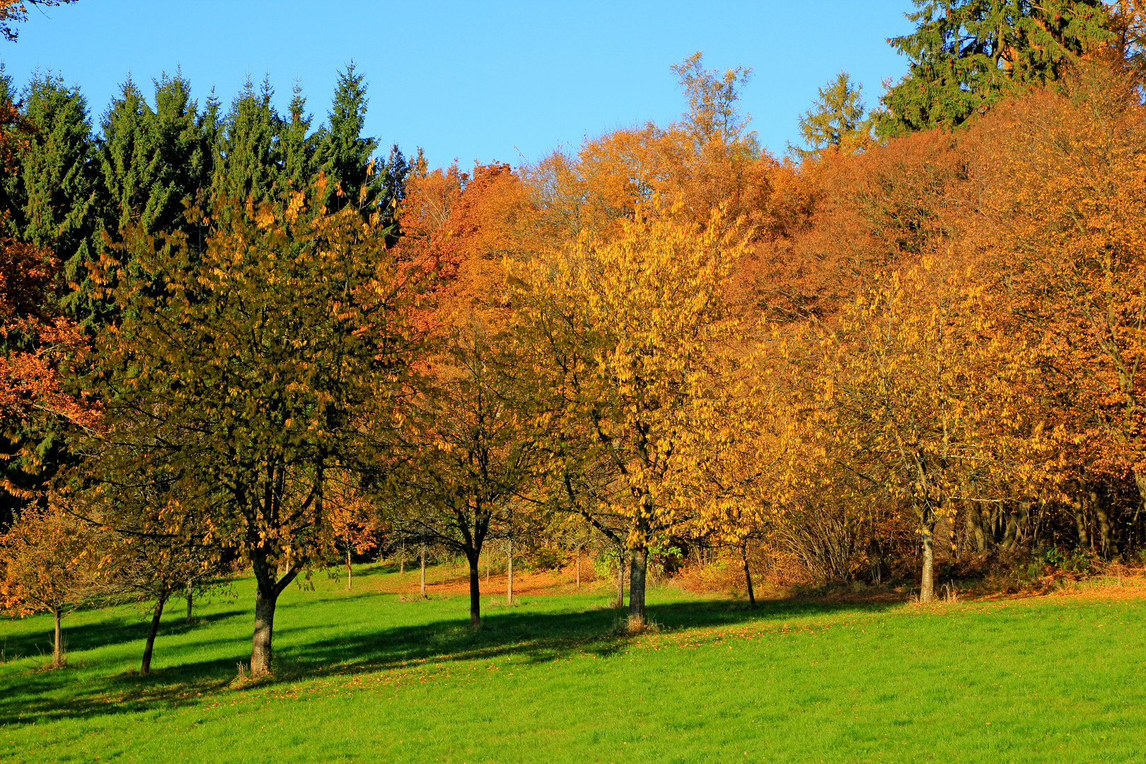 Herbst in 57271 Hilchenbach (Siegerland) 6