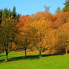 Herbst in 57271 Hilchenbach (Siegerland) 6