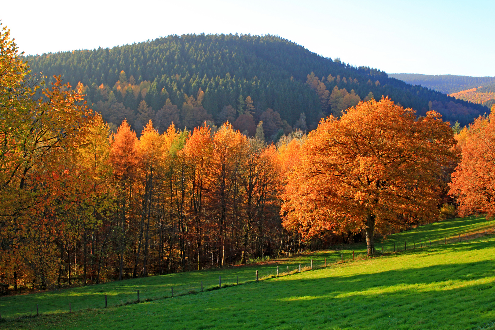 Herbst in 57271 Hilchenbach (Siegerland) 7