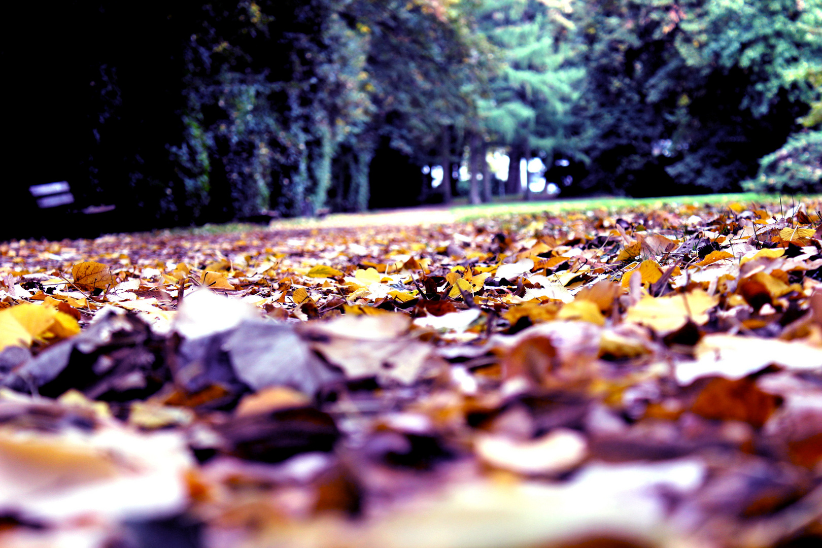 Herbst in Aachen 2012