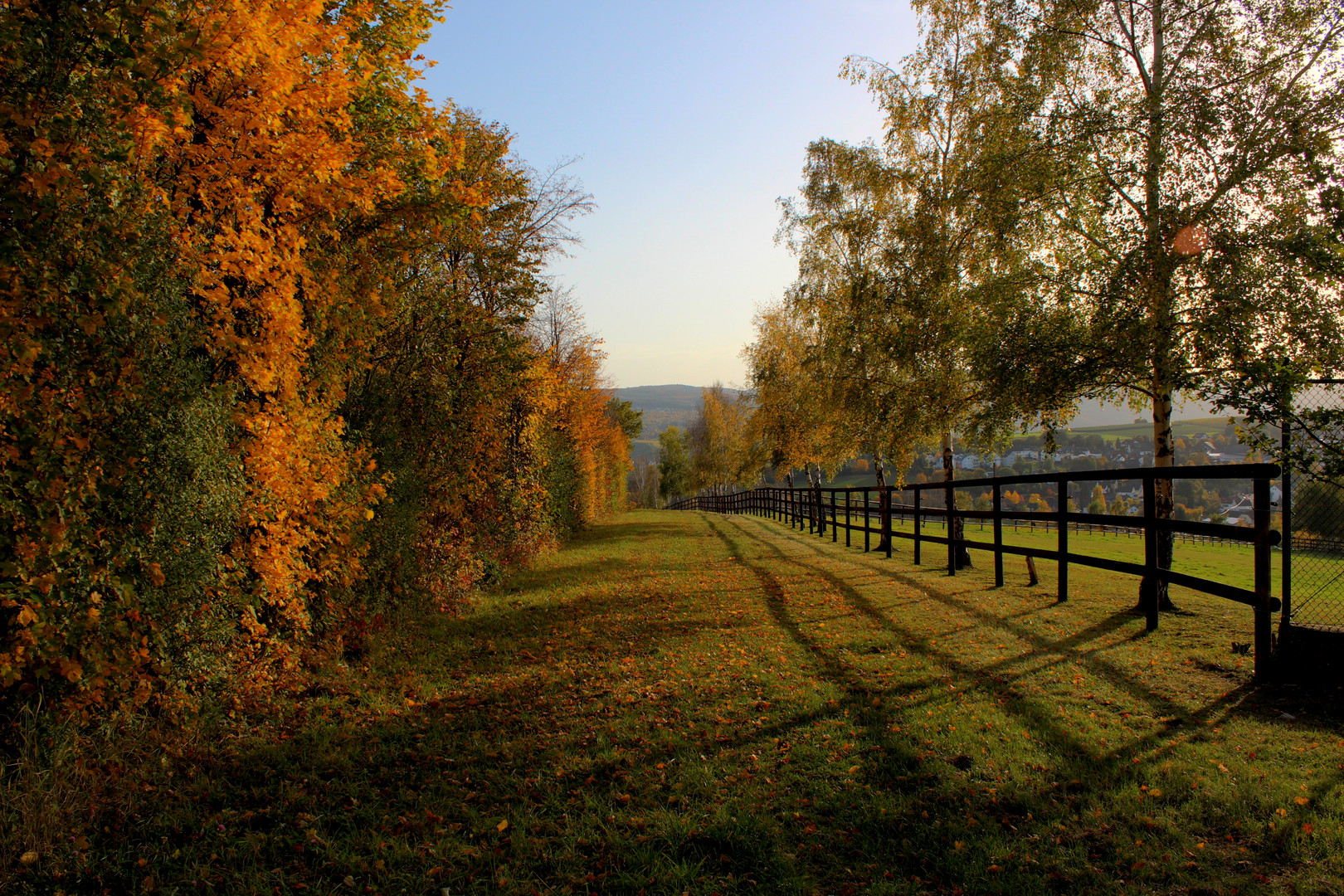 Herbst in Ahrweiler