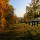 Herbst in Ahrweiler