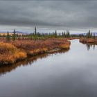 Herbst in Alaska