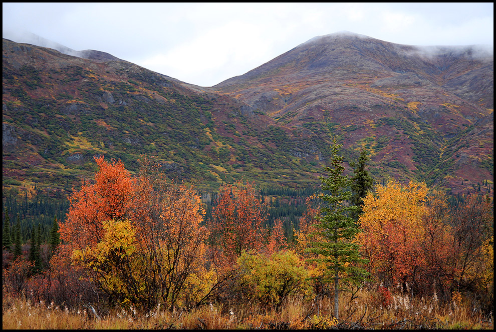 Herbst in Alaska