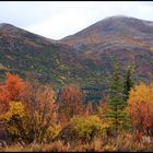 Herbst in Alaska