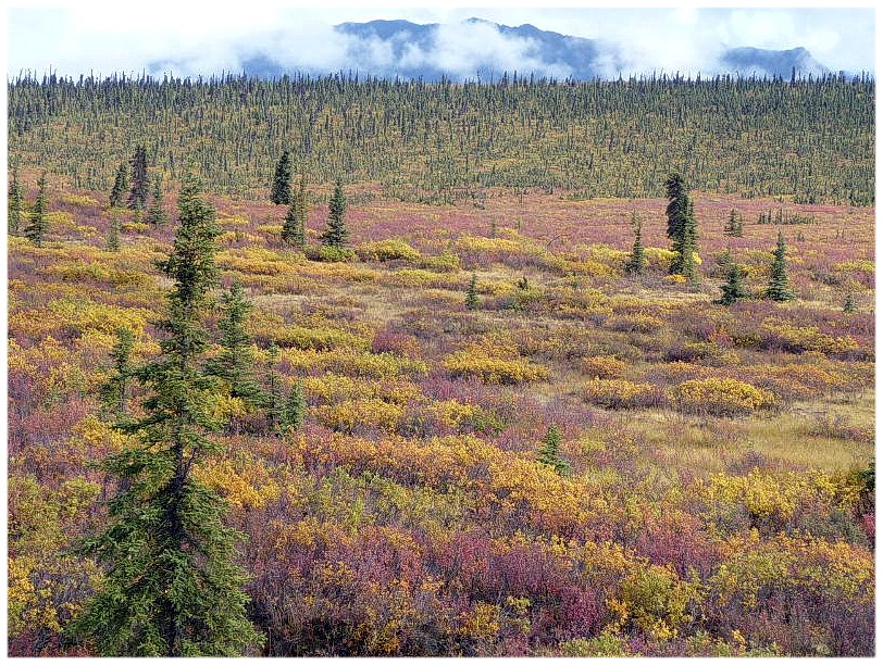  Herbst in Alaska