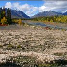 Herbst in Alaska