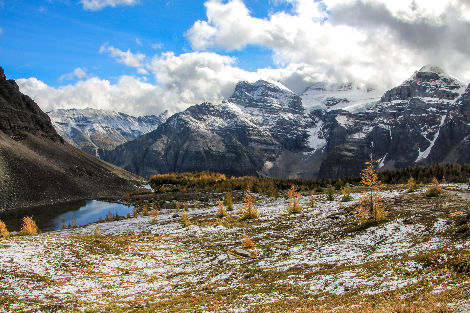 Herbst in Alberta