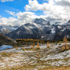 Herbst in Alberta