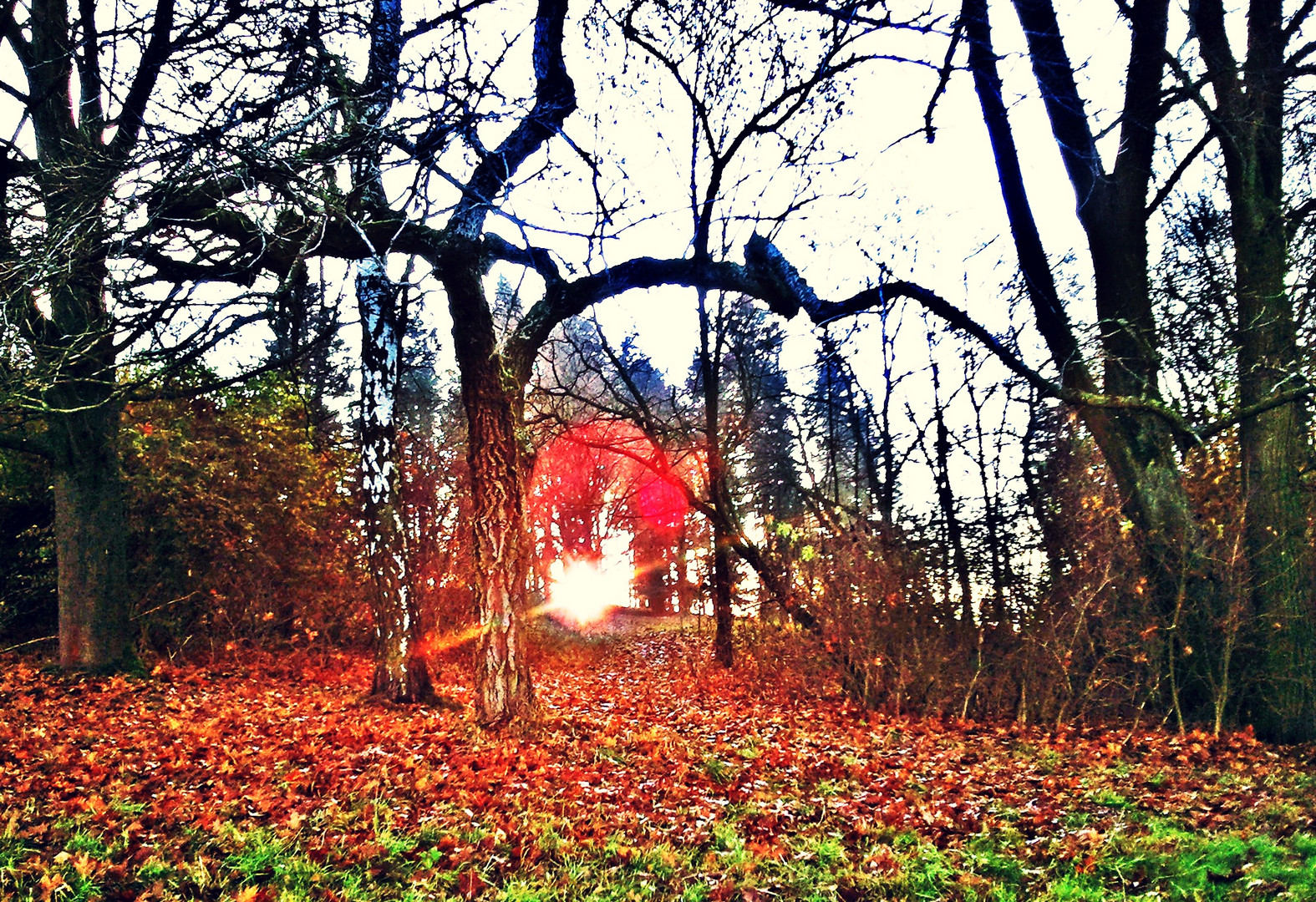 Herbst in all seiner Schönheit