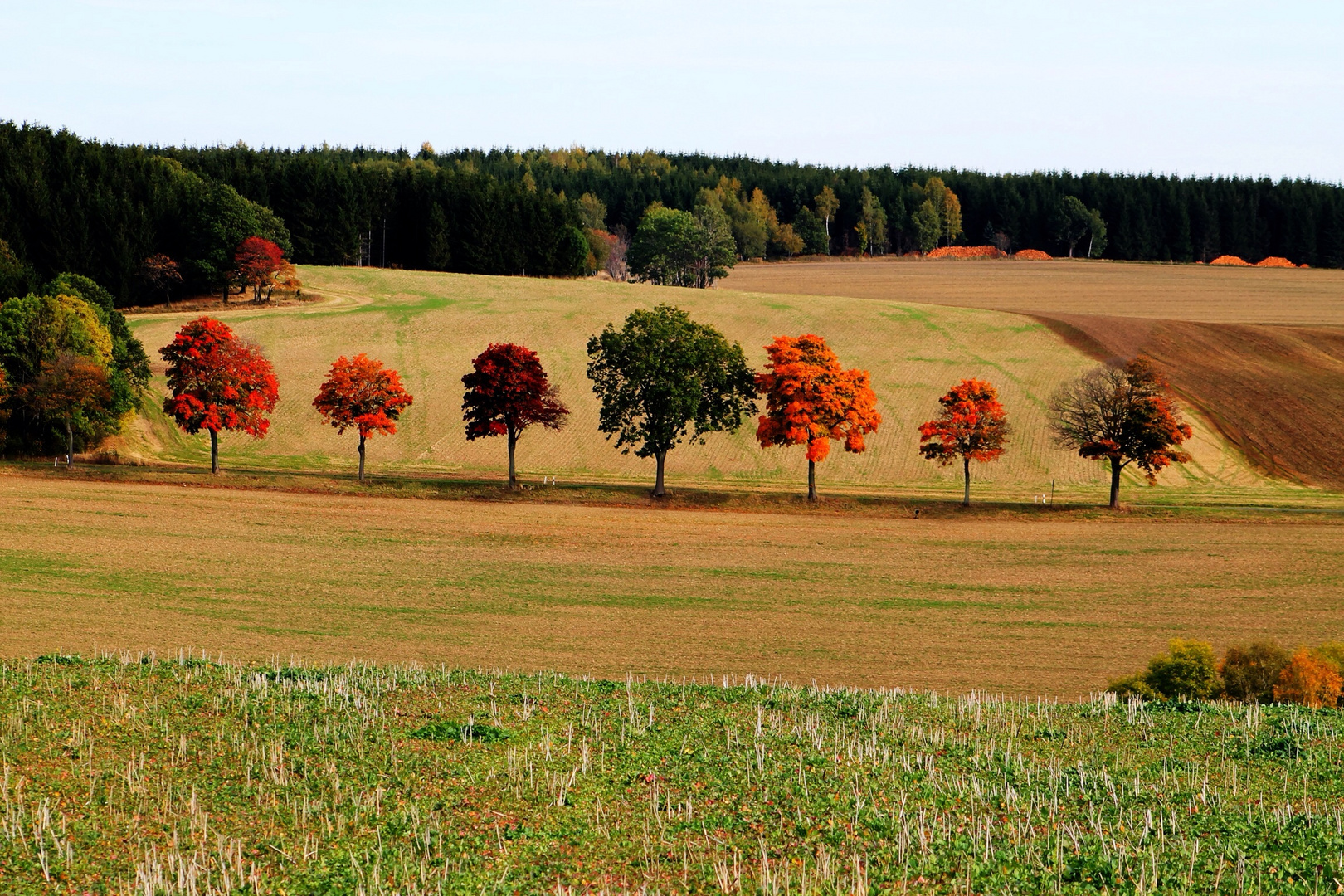 Herbst in allen Farben