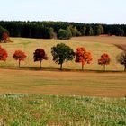 Herbst in allen Farben