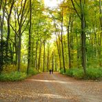 Herbst in allen Richtungen