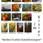 *Herbst in allen Schattierungen* Collage von aeschlih