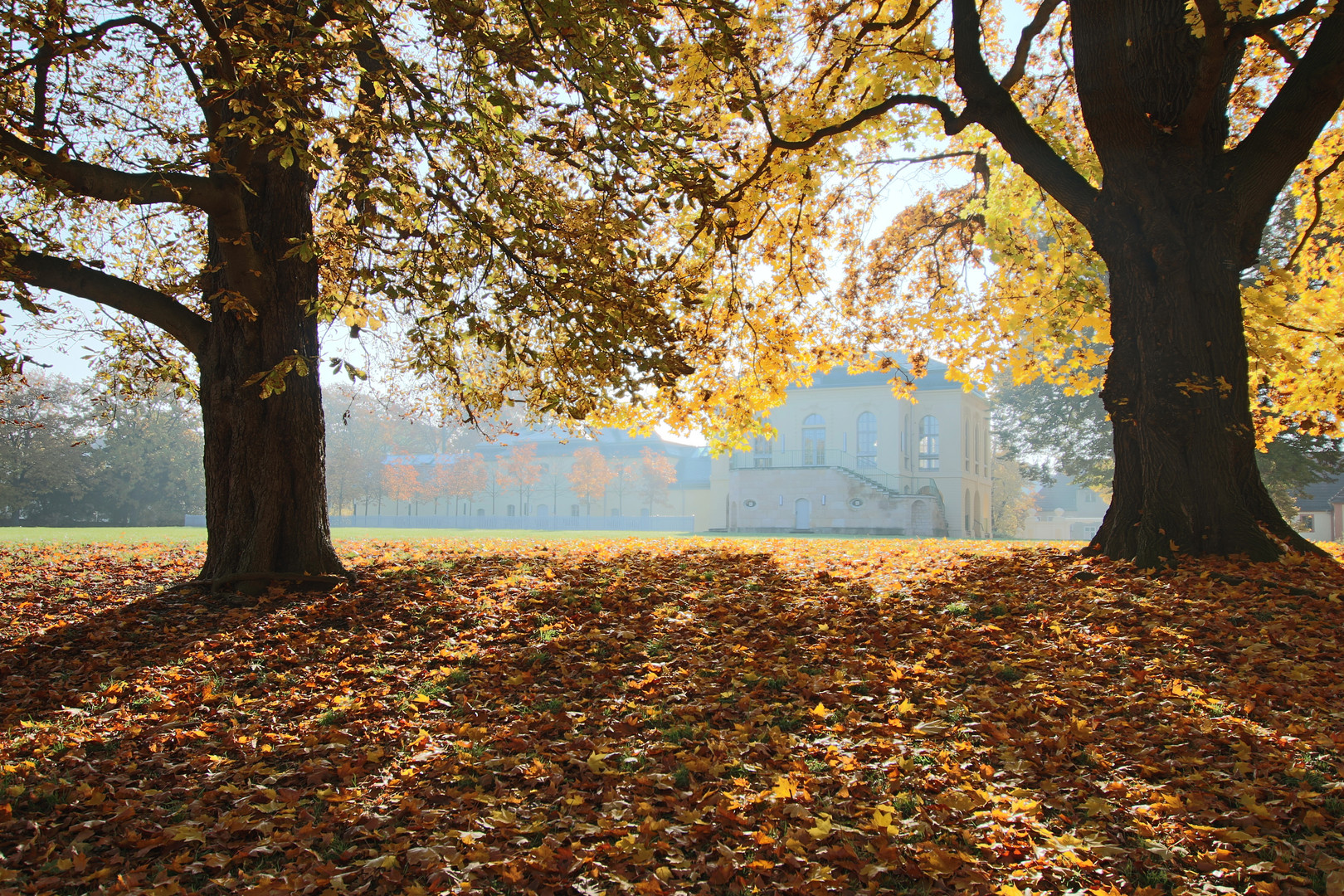 Herbst in Altenburg