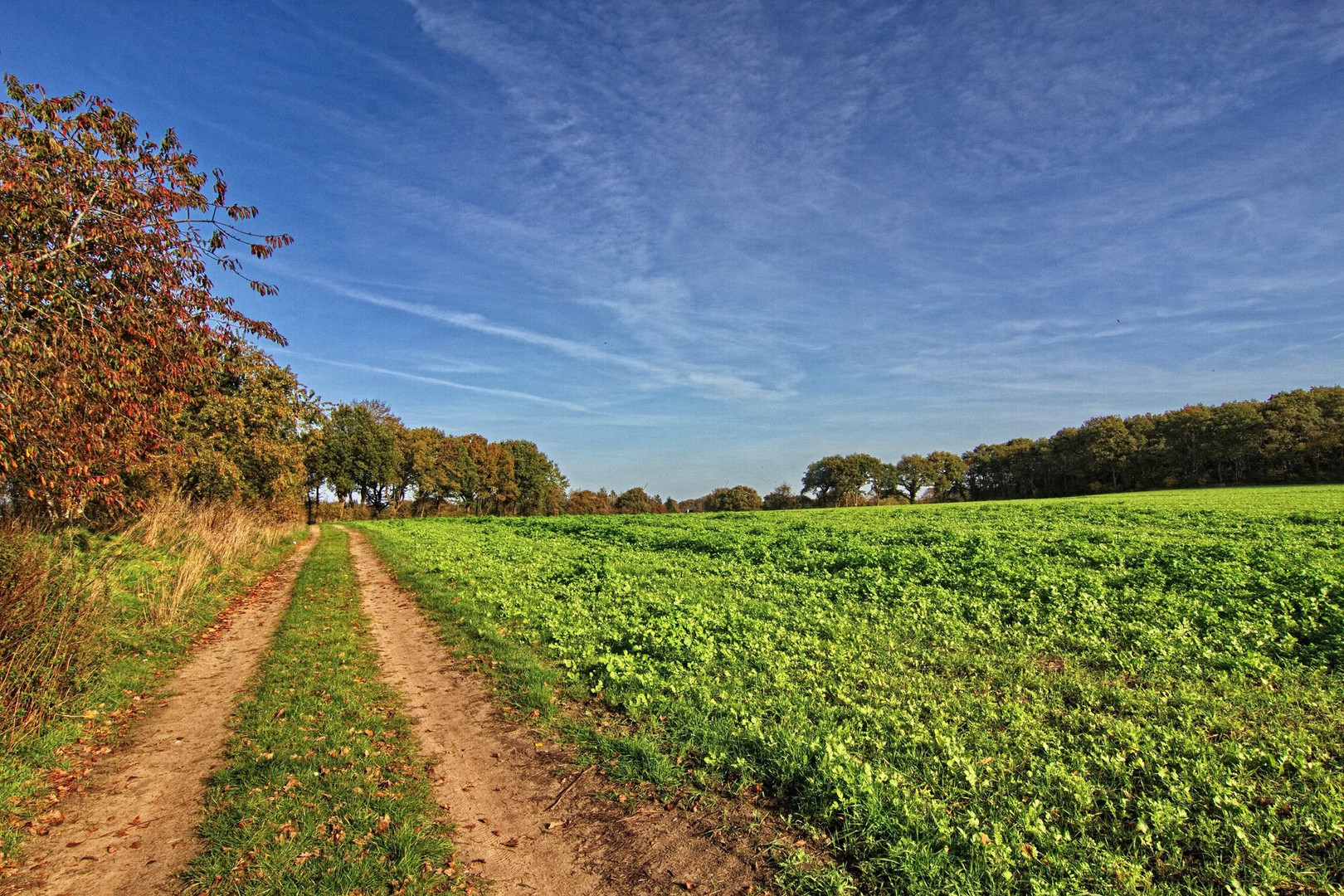 Herbst in Altenwalde 