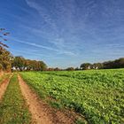 Herbst in Altenwalde 