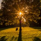 Herbst in Altona