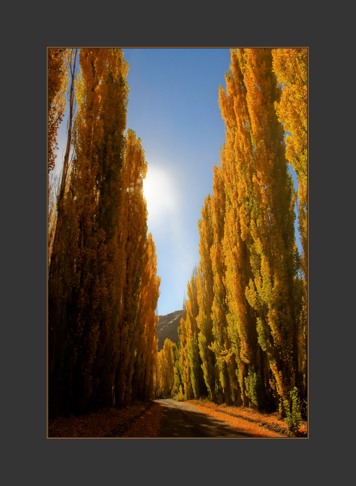 Herbst in Argentinien