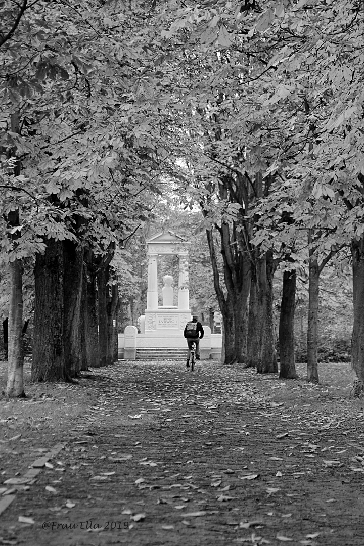 Herbst in Aschaffenburg