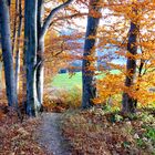 HERBST IN ASCHAU