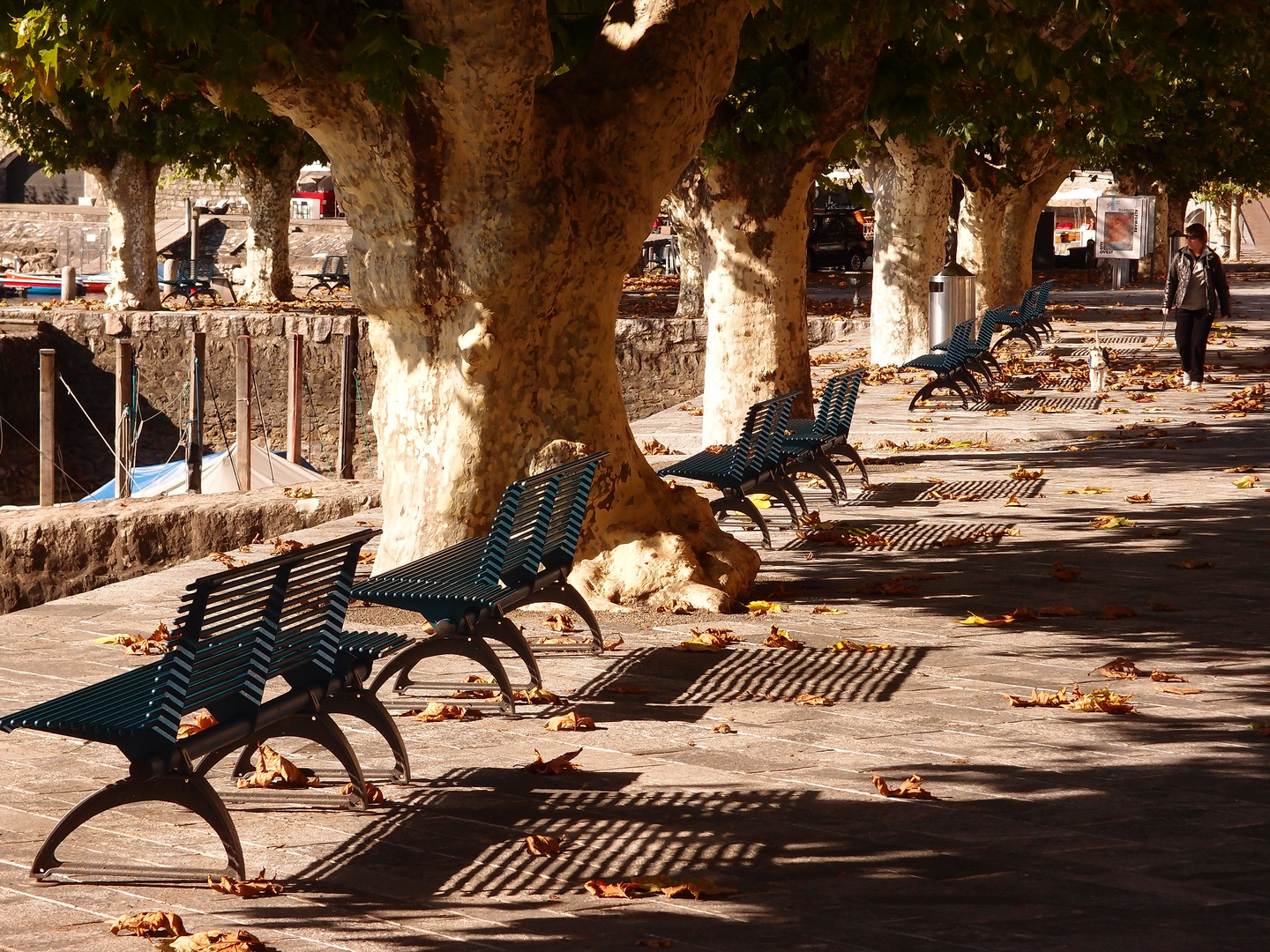 Herbst in Ascona