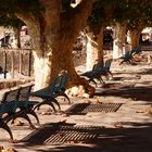 Herbst in Ascona