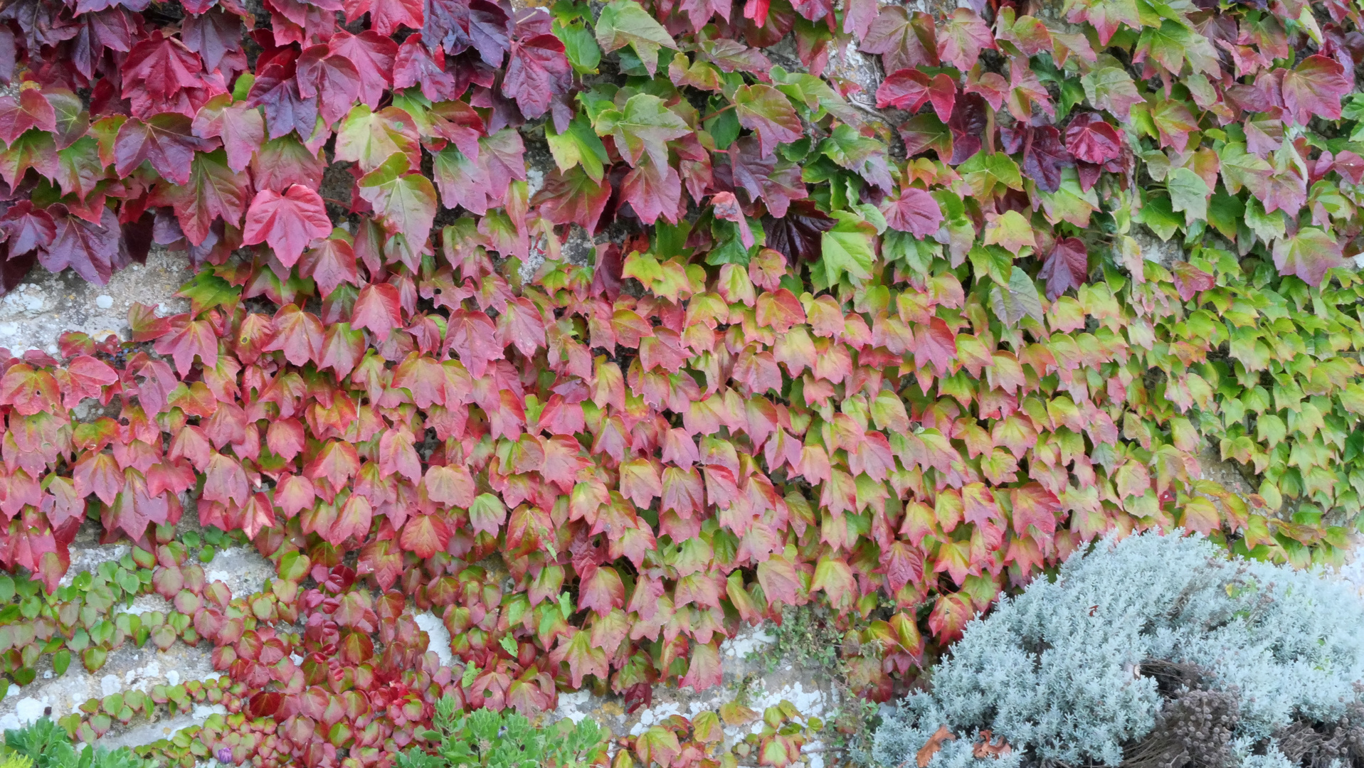 Herbst in Audierne