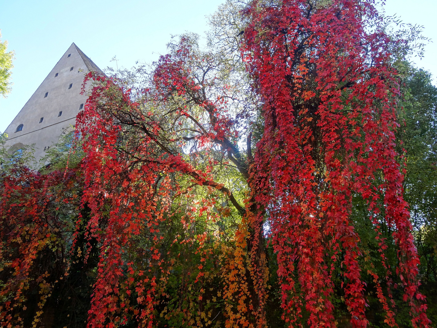 Herbst in Augsburg