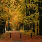 Herbst in Aurich-Sandhorst