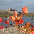 Herbst in Aurora
