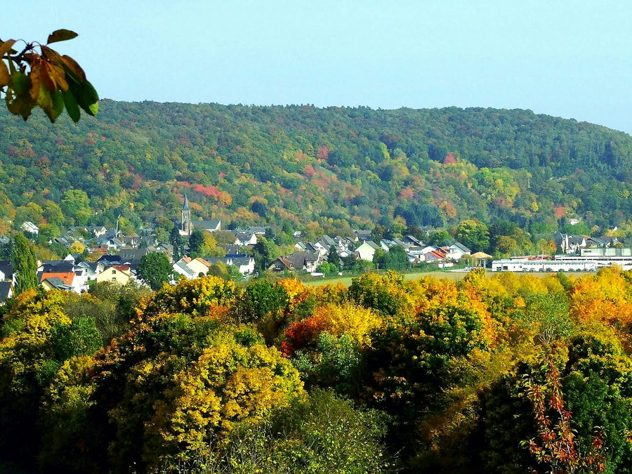 Herbst in Bad Bodendorf