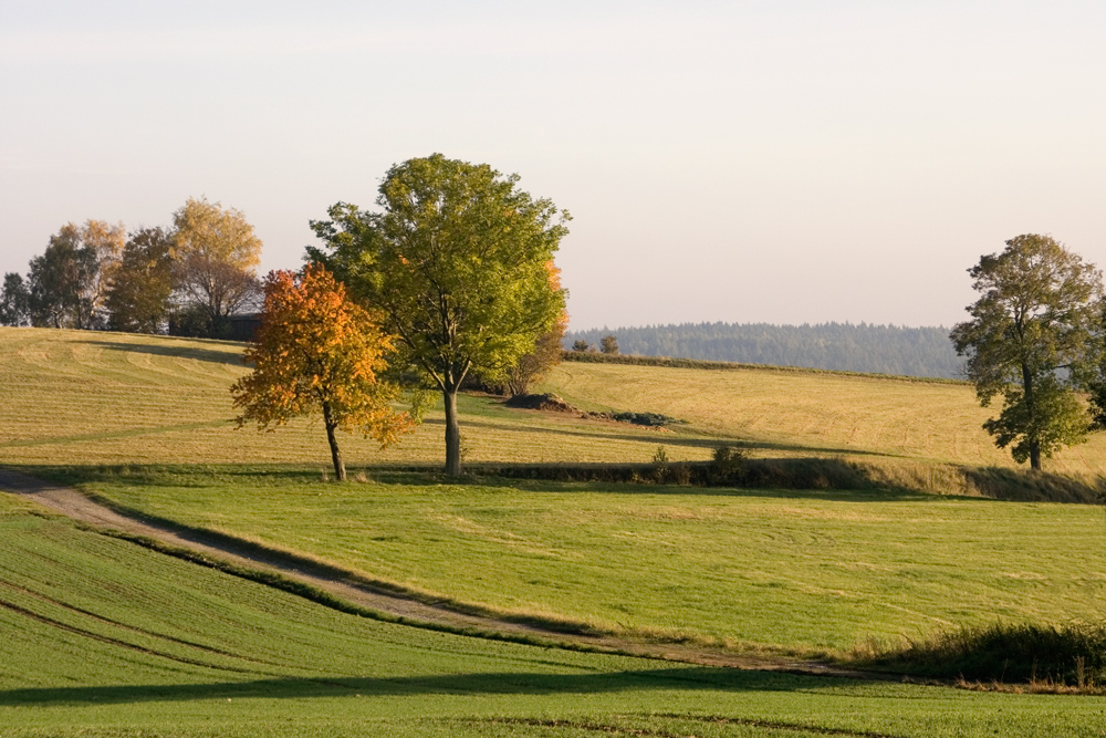 Herbst in Bad Brambach