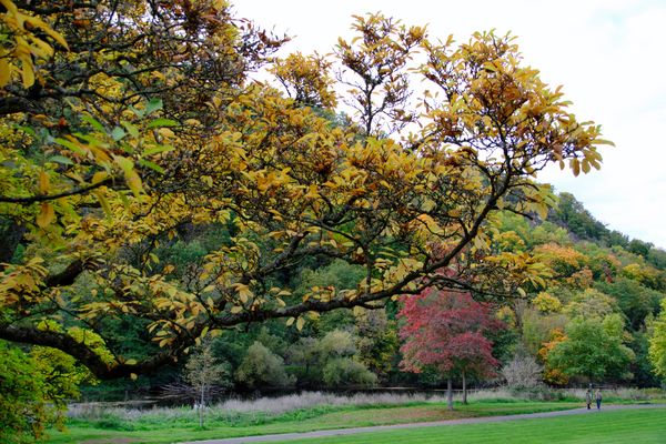 Herbst in Bad Kreuznach 3