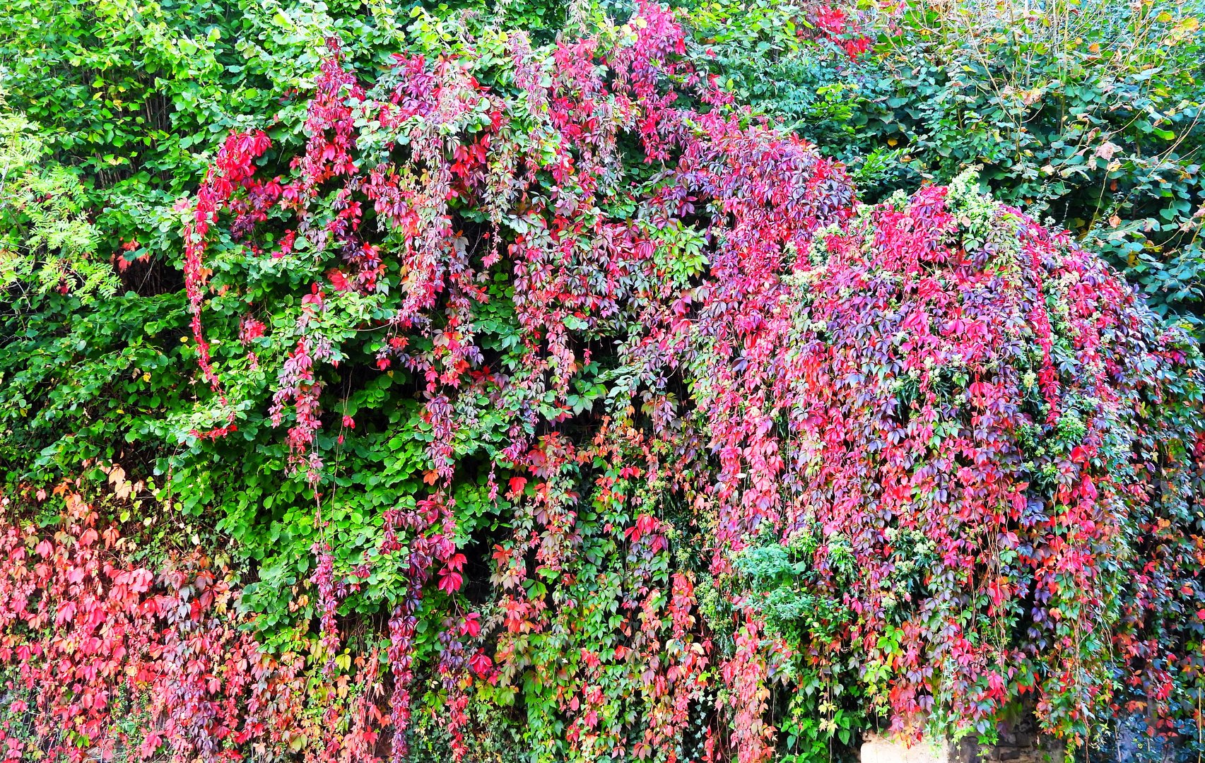 Herbst in Bad Münstereifel