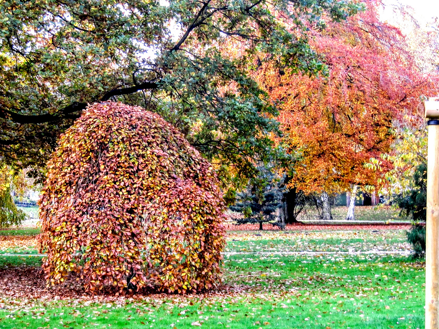 Herbst in Bad Rothenfelde