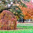 Herbst in Bad Rothenfelde