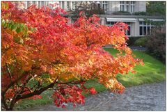 Herbst in Baden Baden 02