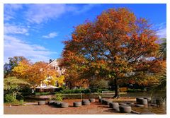 Herbst in Baden-Baden