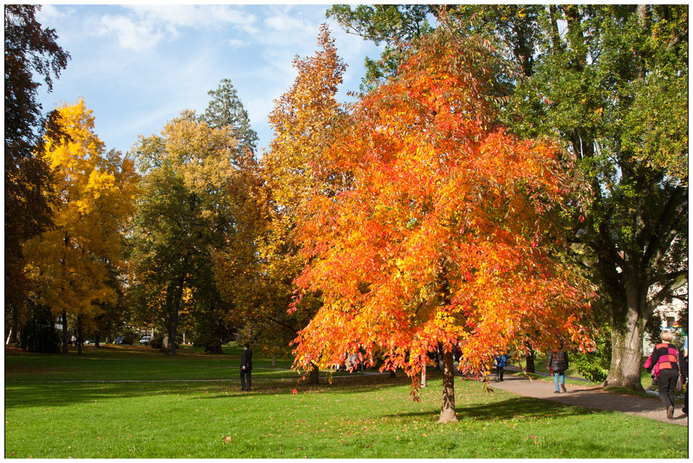 Herbst in Baden-Baden